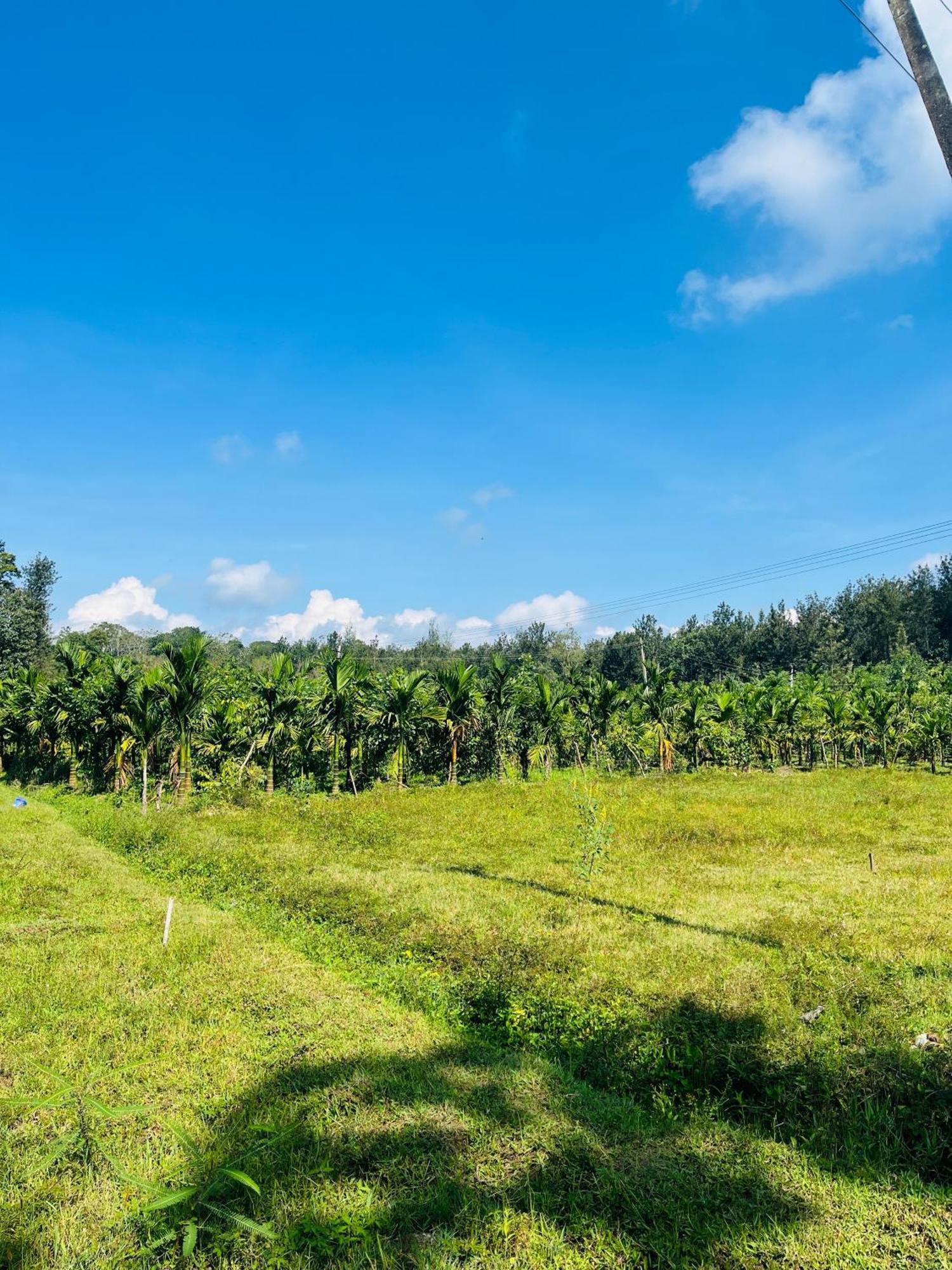 Preetham Homestay กูชาลนาการ์ ภายนอก รูปภาพ